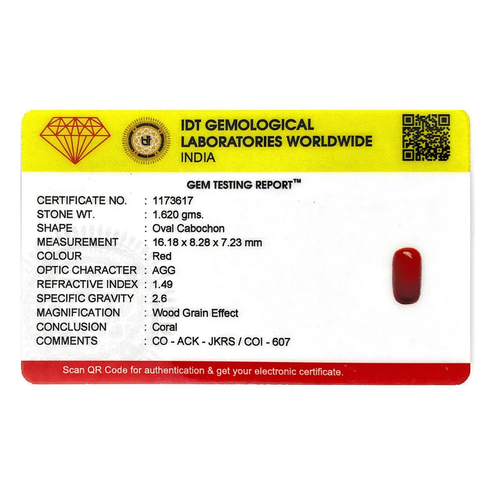 Red Coral - 8.1 Carat - Pramogh