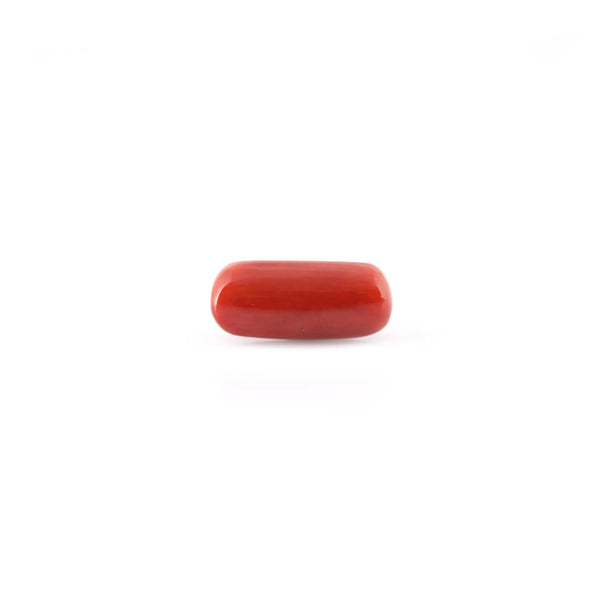 Red Coral - 10.16 Carat - Pramogh