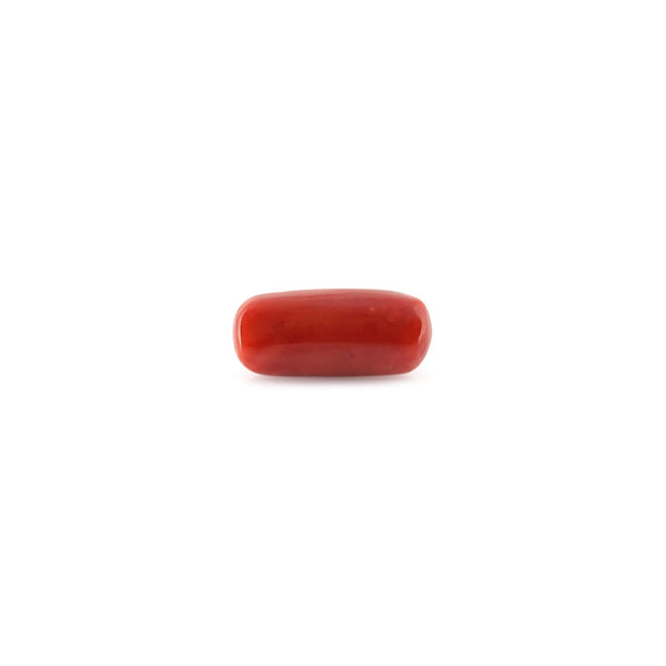 Red Coral - 10.16 Carat - Pramogh