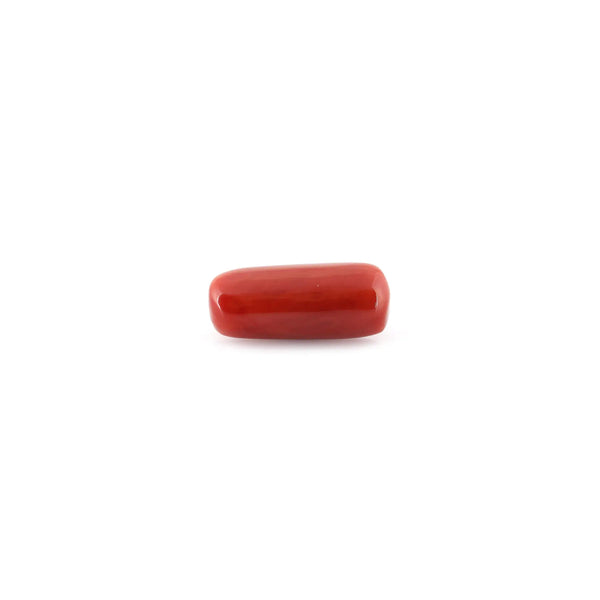 Red Coral - 10.16 Carat - Pramogh