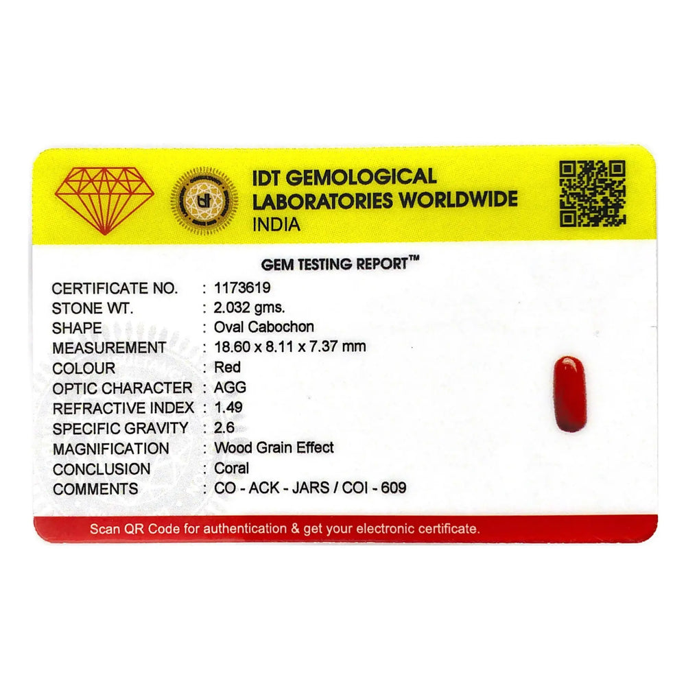 Red Coral - 10.16 Carat - Pramogh