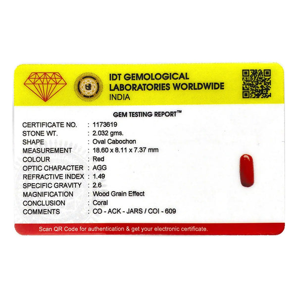 Red Coral - 10.16 Carat - Pramogh
