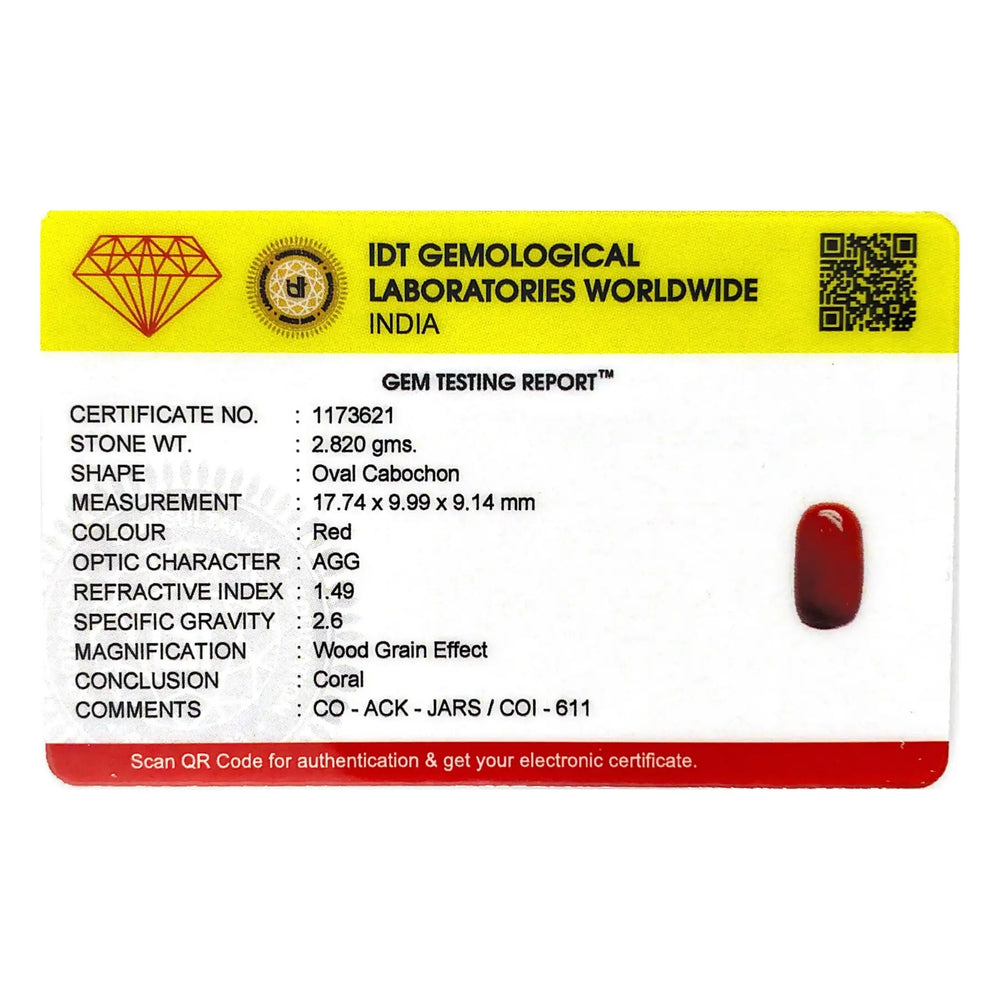 Red Coral - 14.1 Carat - Pramogh