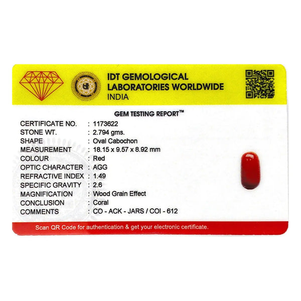 Red Coral - 13.97 Carat - Pramogh