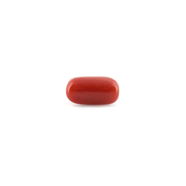 Red Coral - 11.62 Carat - Pramogh