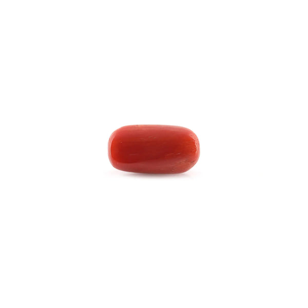 Red Coral - 11.62 Carat - Pramogh