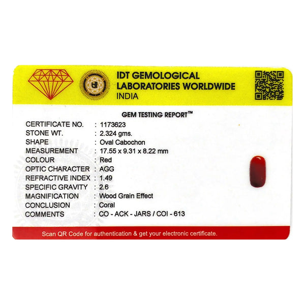 Red Coral - 11.62 Carat - Pramogh