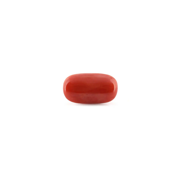 Red Coral - 11.33 Carat