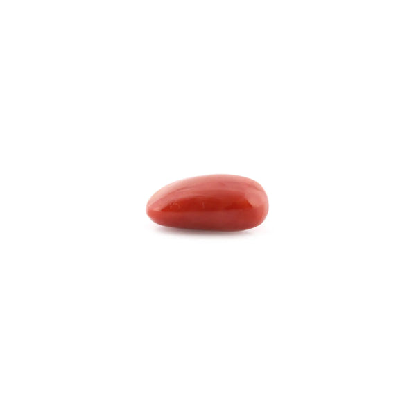 Red Coral - 11.33 Carat