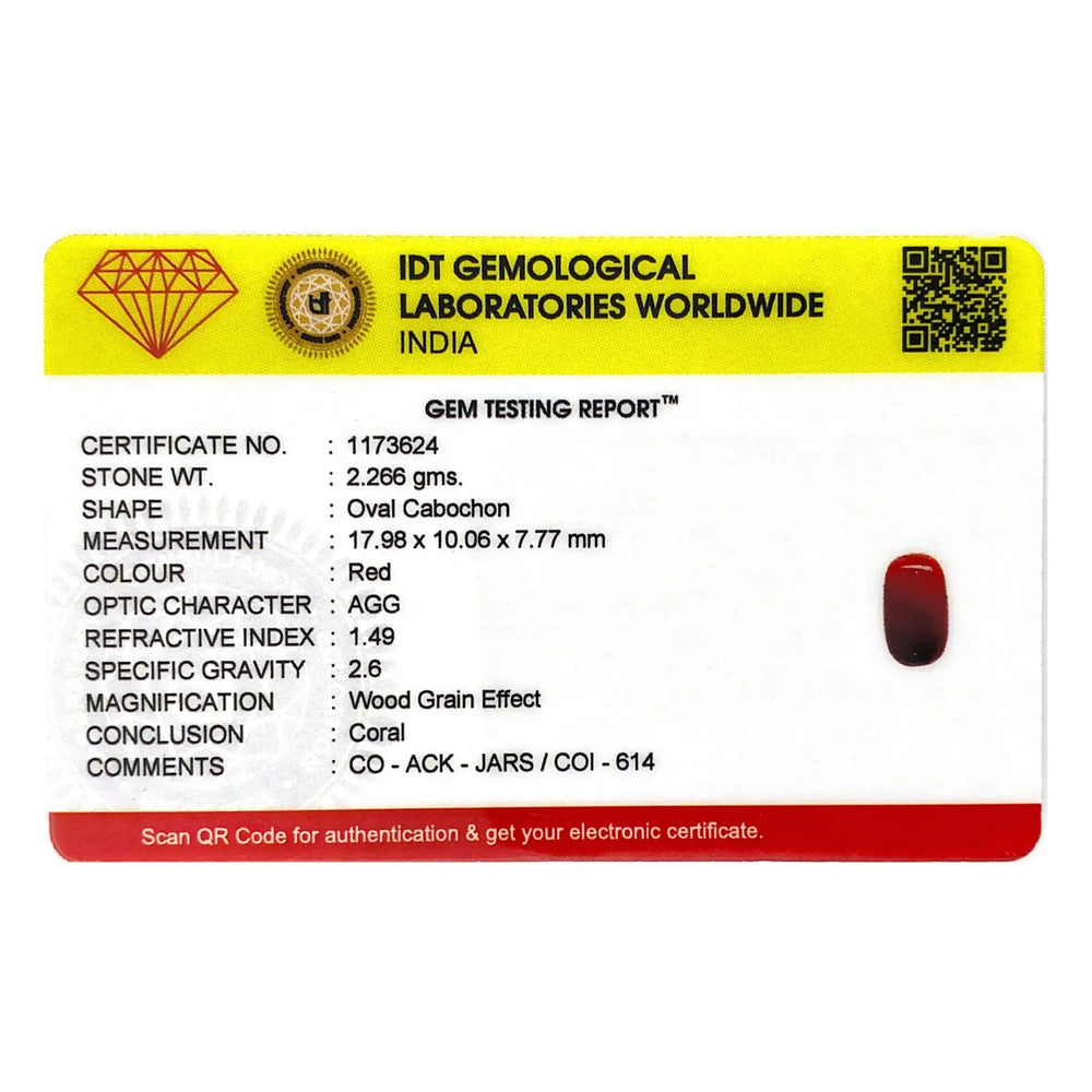 Red Coral - 11.33 Carat - Pramogh