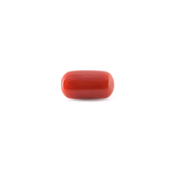 Red Coral - 17.63 Carat - Pramogh