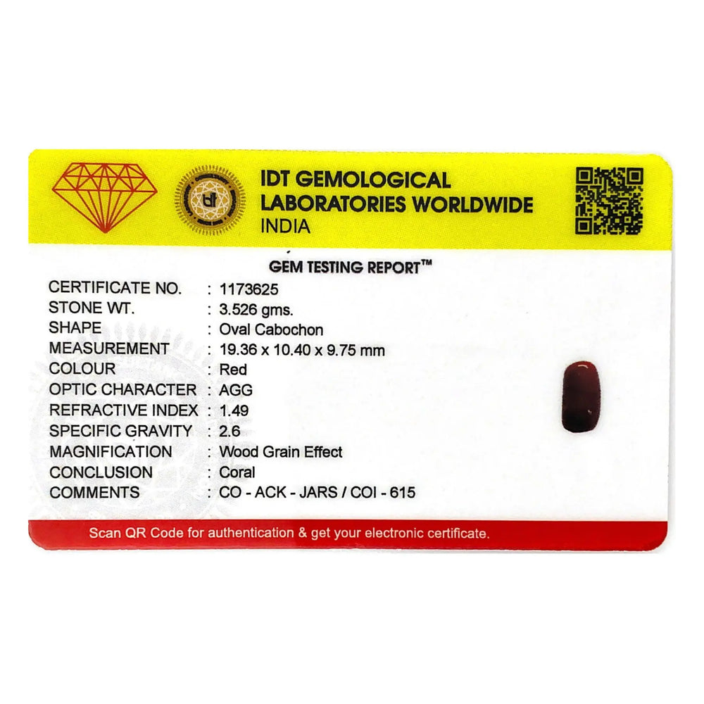 Red Coral - 17.63 Carat - Pramogh
