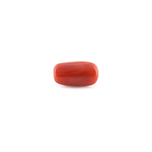 Red Coral - 14.5 Carat