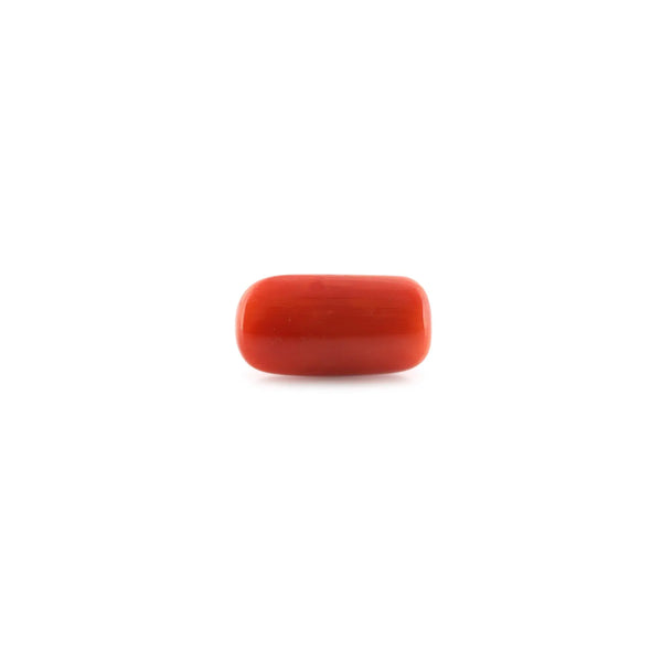 Red Coral - 12.08 Carat