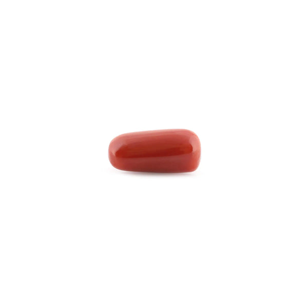 Red Coral - 11.56 Carat - Pramogh