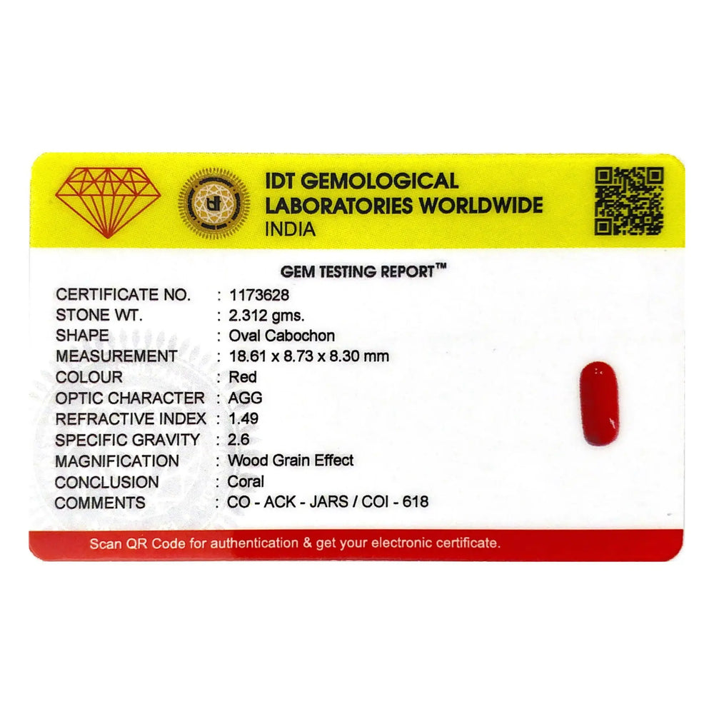 Red Coral - 11.56 Carat - Pramogh