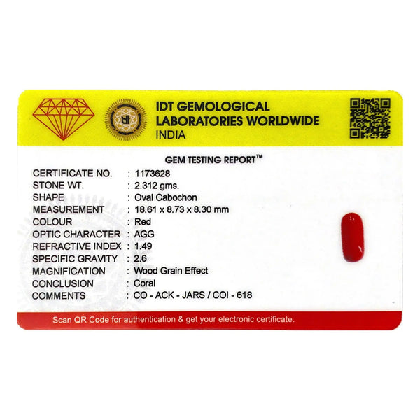 Red Coral - 11.56 Carat - Pramogh