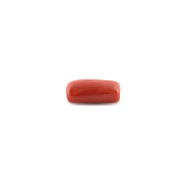 Red Coral - 18.09 Carat