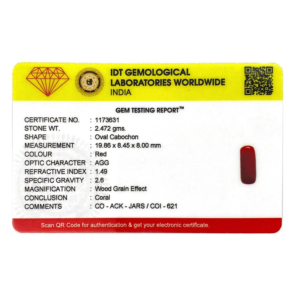 Red Coral - 12.36 Carat - Pramogh