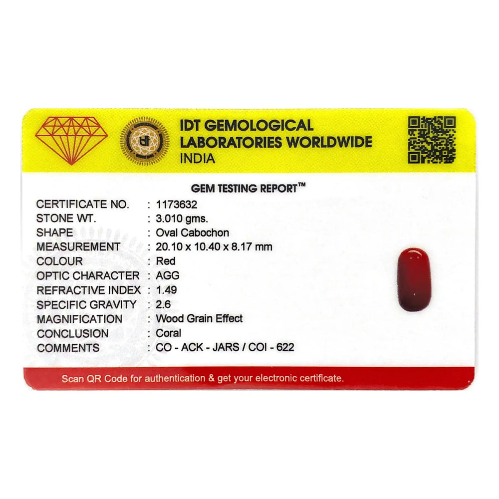 Red Coral - 15.05 Carat - Pramogh