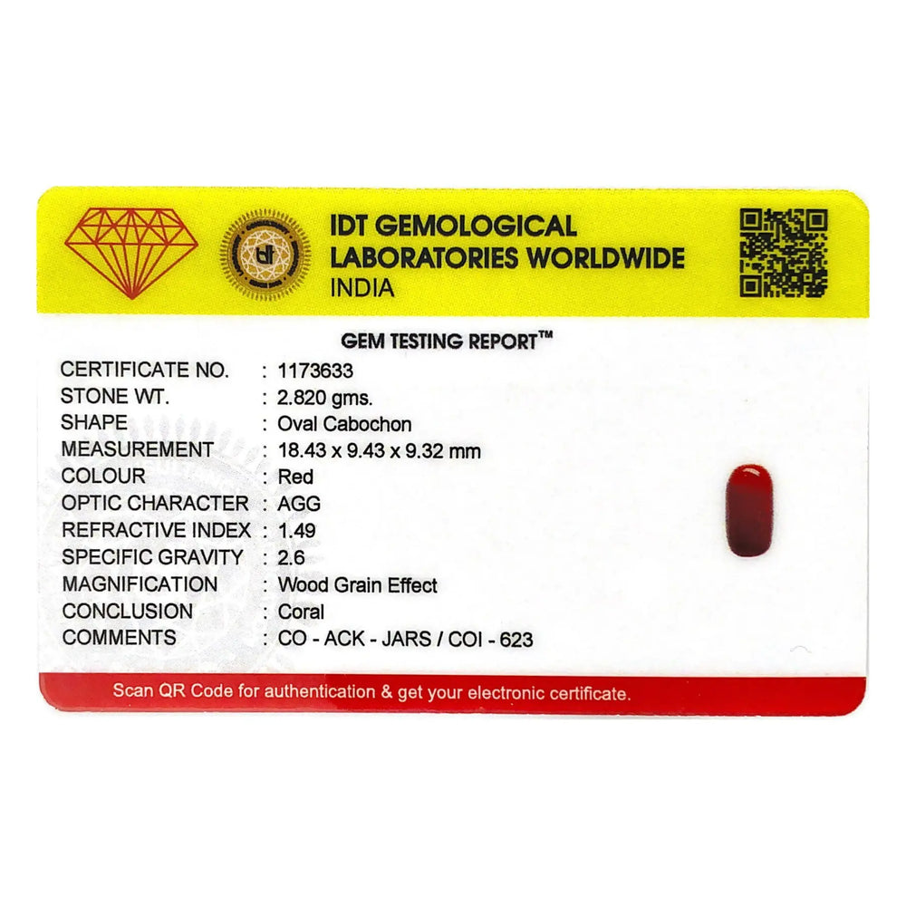 Red Coral - 14.1 Carat - Pramogh
