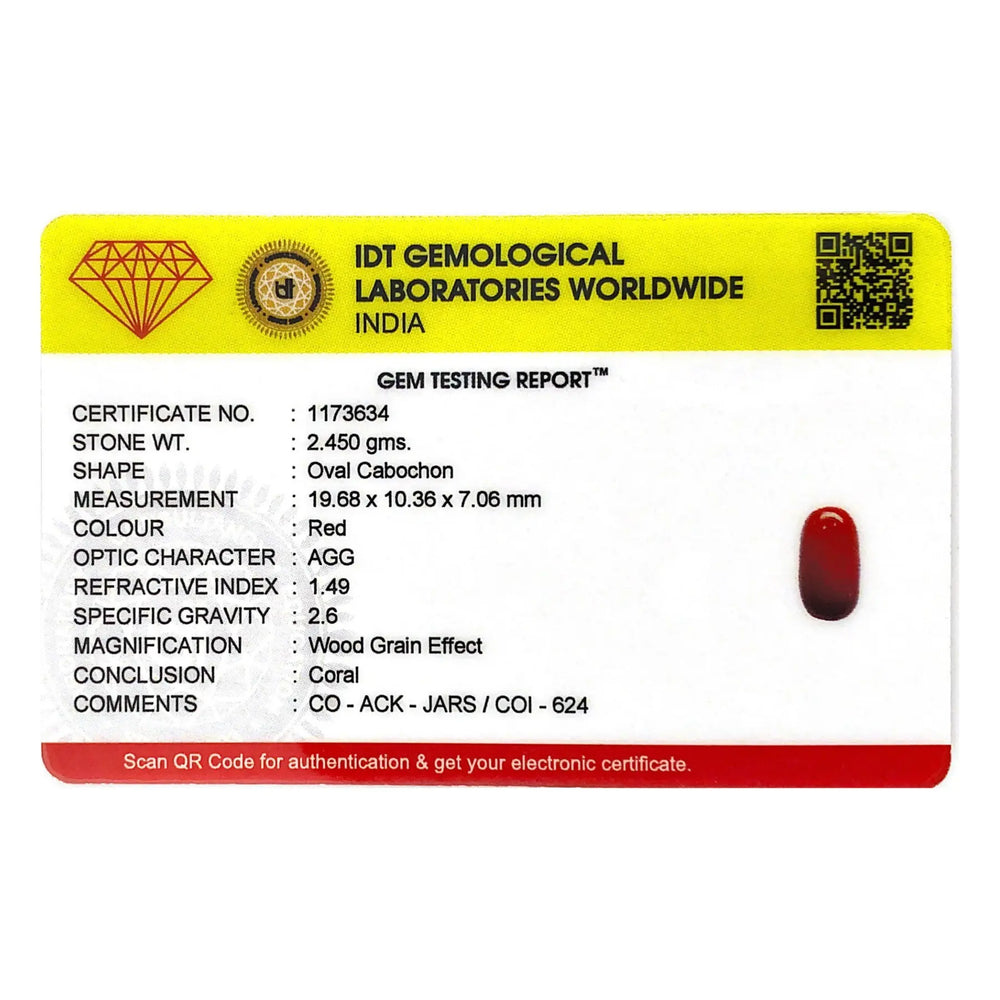 Red Coral - 12.25 Carat - Pramogh