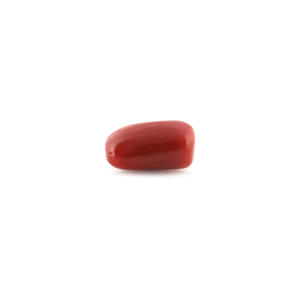 Red Coral - 12.99 Carat - Pramogh
