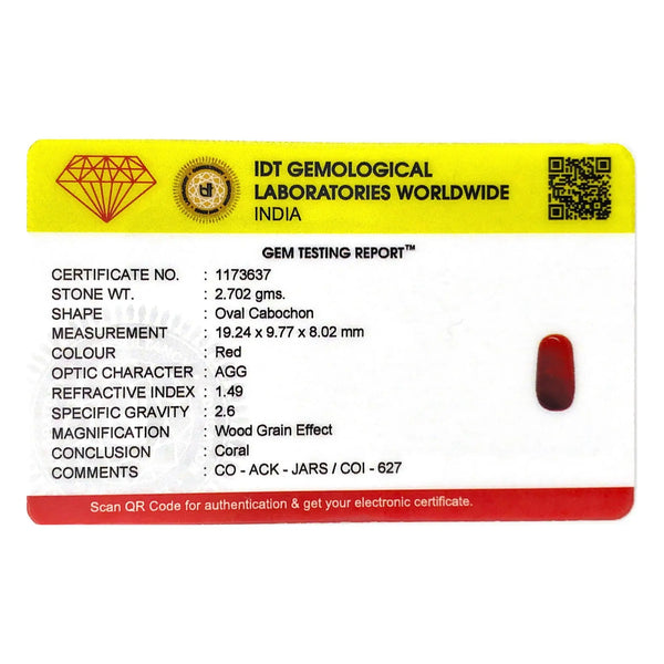 Red Coral - 13.51 Carat - Pramogh