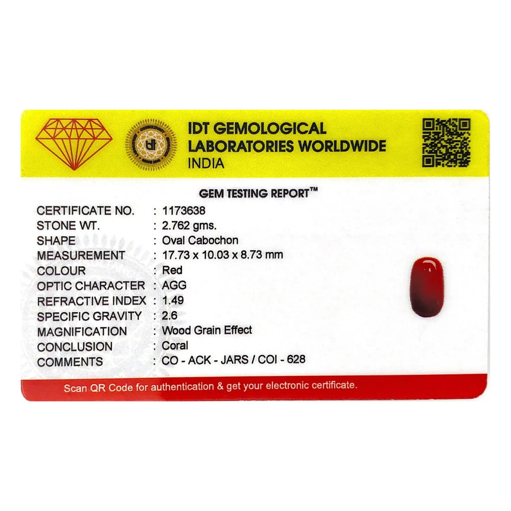 Red Coral - 13.81 Carat - Pramogh