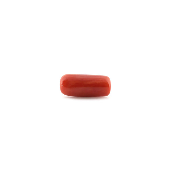 Red Coral - 15.52 Carat