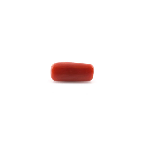 Red Coral - 15.52 Carat