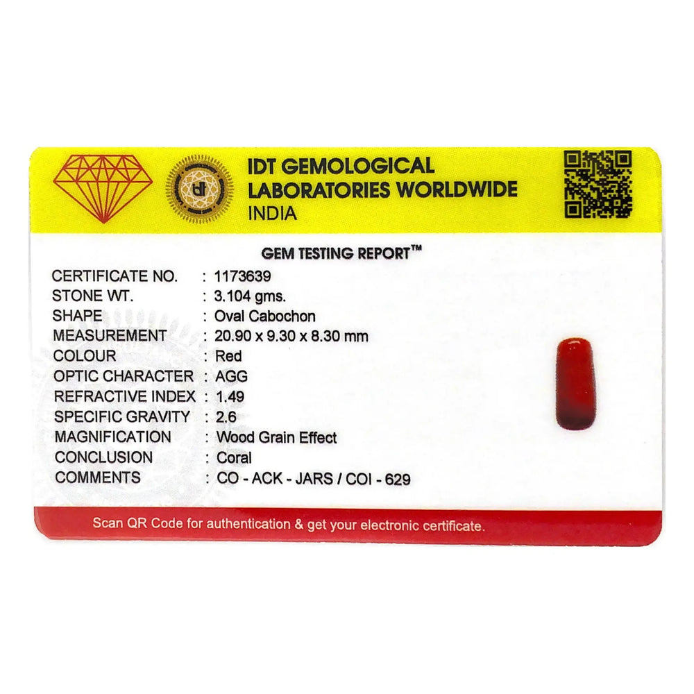 Red Coral - 15.52 Carat - Pramogh