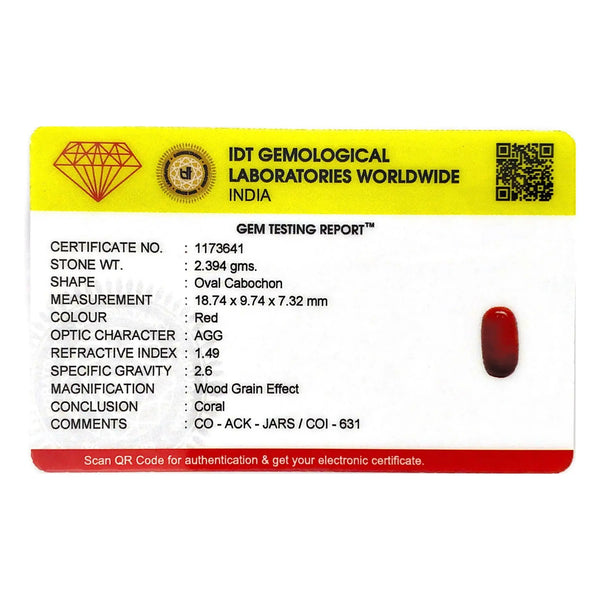 Red Coral - 11.97 Carat - Pramogh