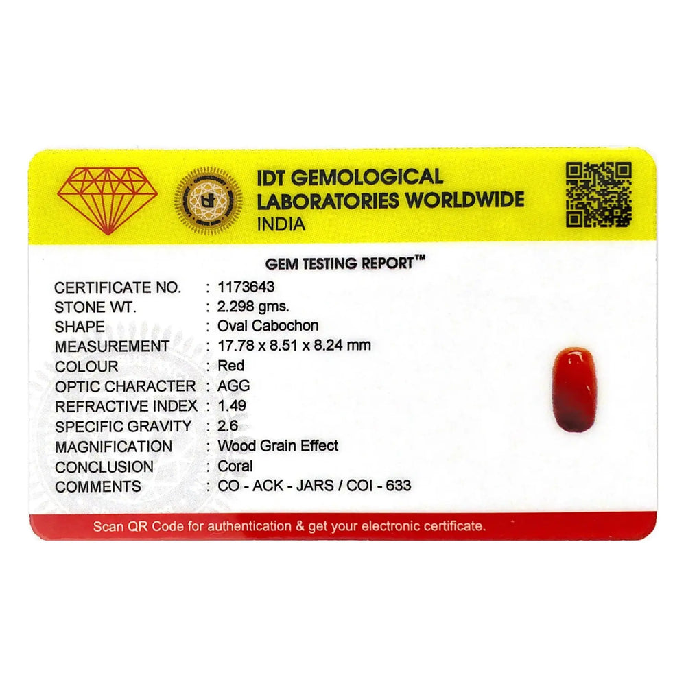 Red Coral - 11.49 Carat - Pramogh