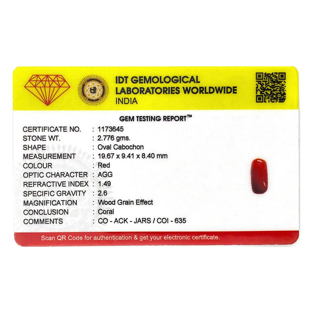 Red Coral - 13.88 Carat - Pramogh