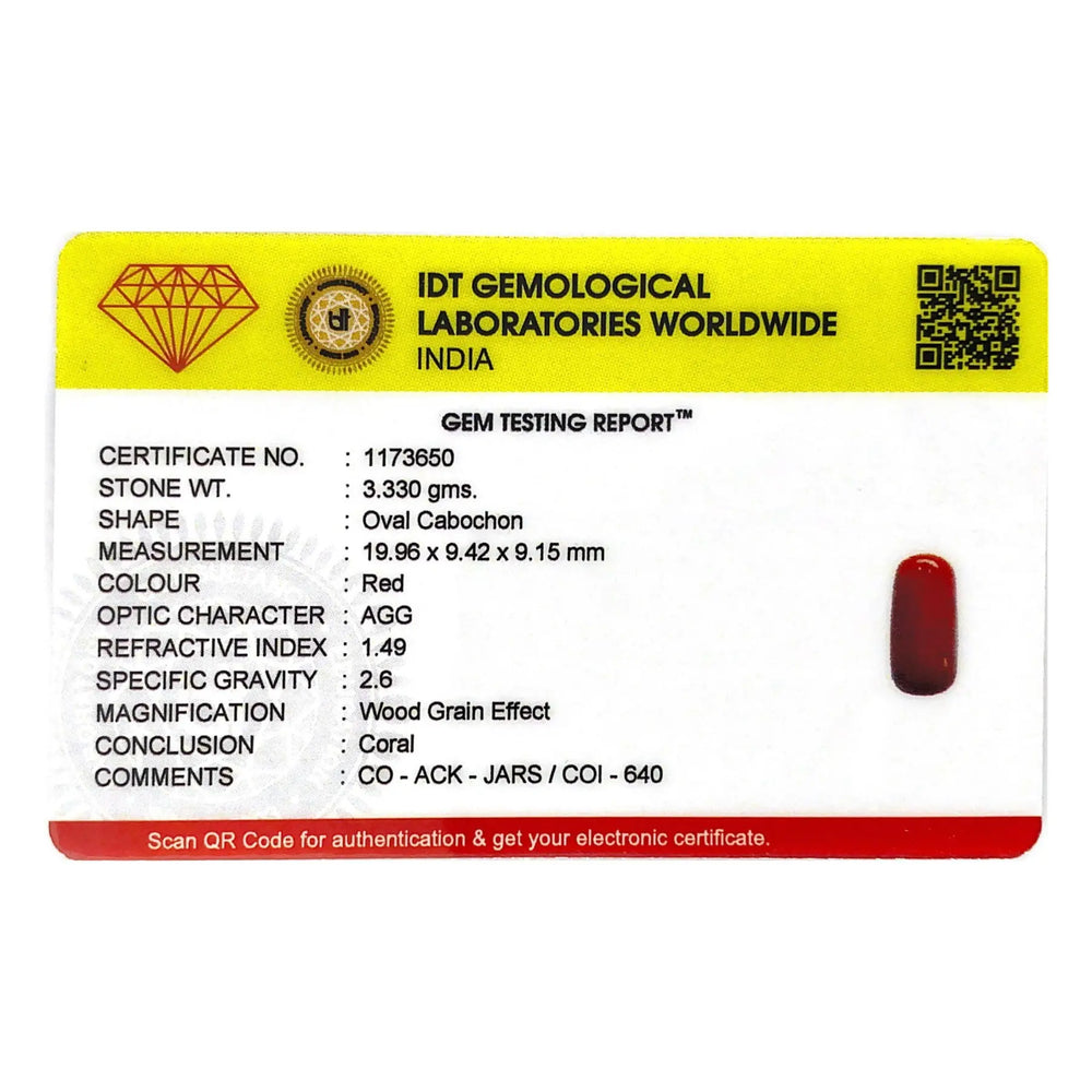 Red Coral - 16.65 Carat - Pramogh