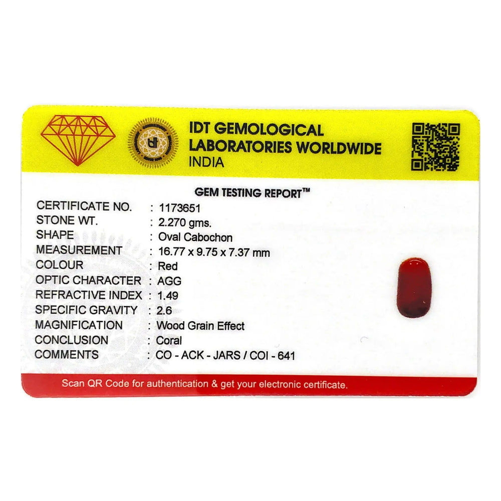 Red Coral - 11.35 Carat - Pramogh