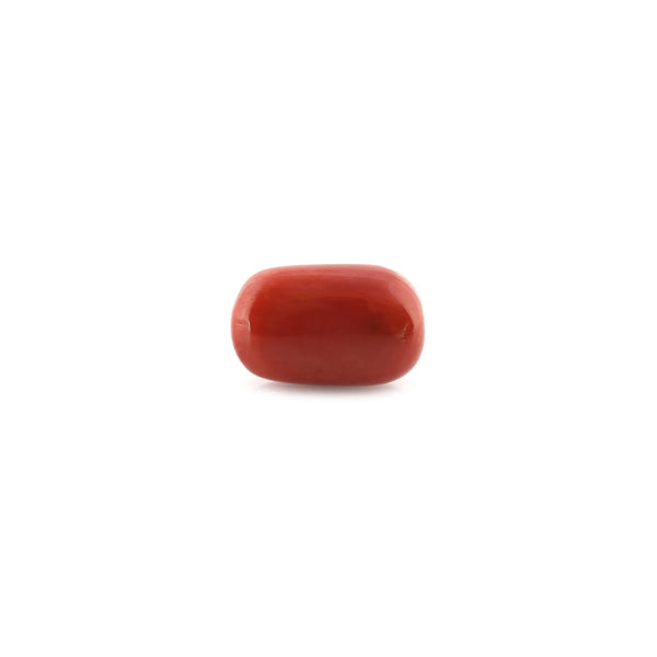 Red Coral - 13.92 Carat