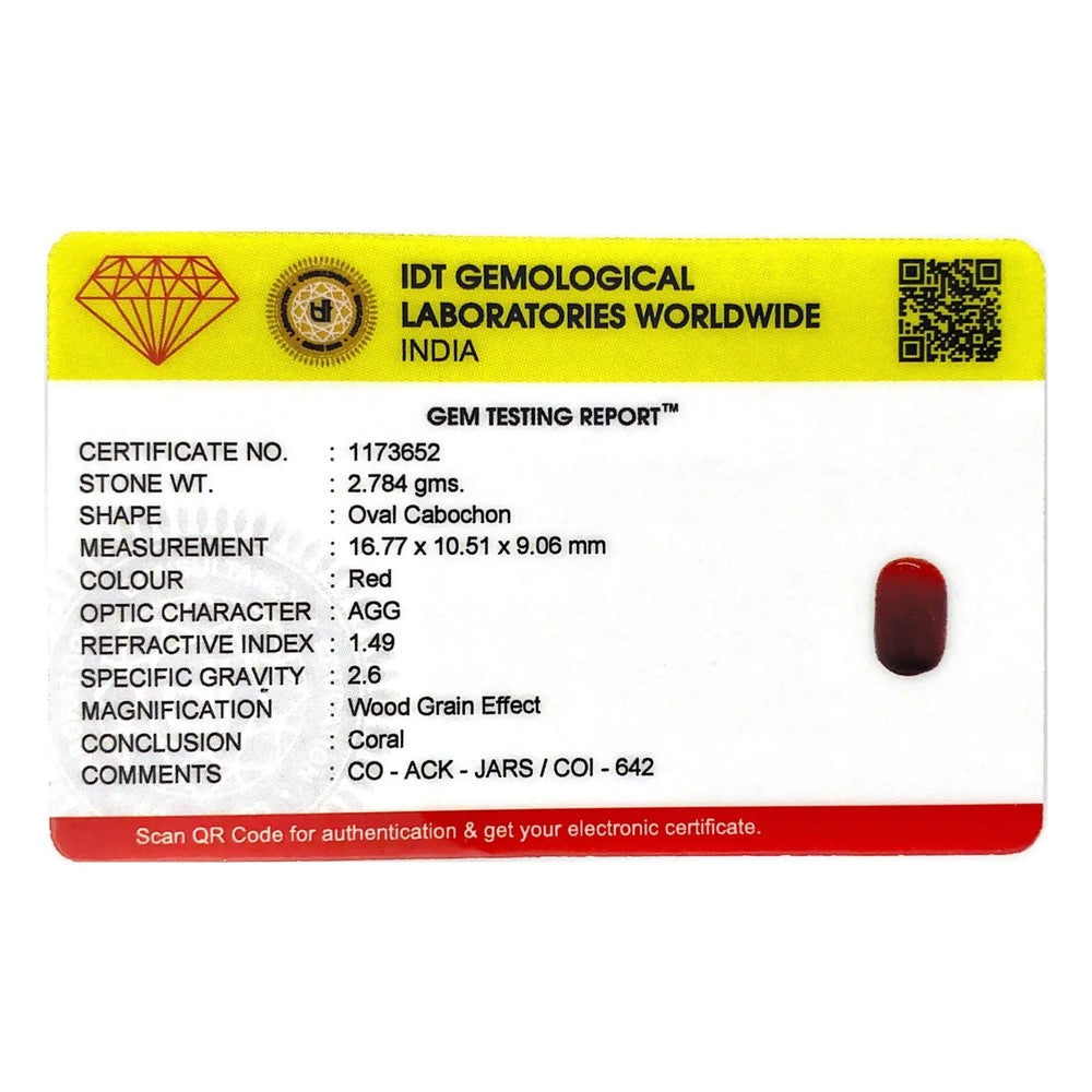 Red Coral - 13.92 Carat - Pramogh