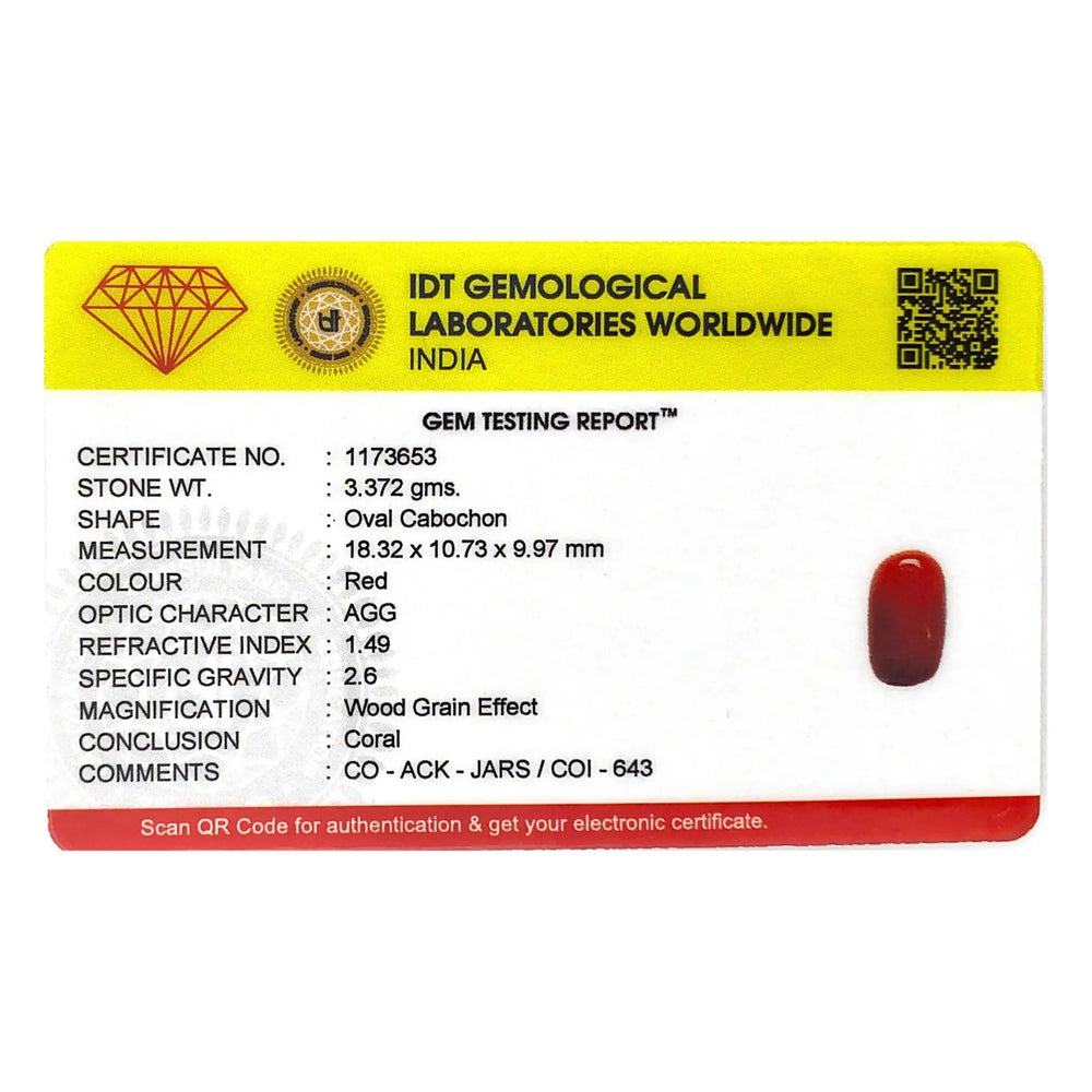 Red Coral - 16.86 Carat - Pramogh