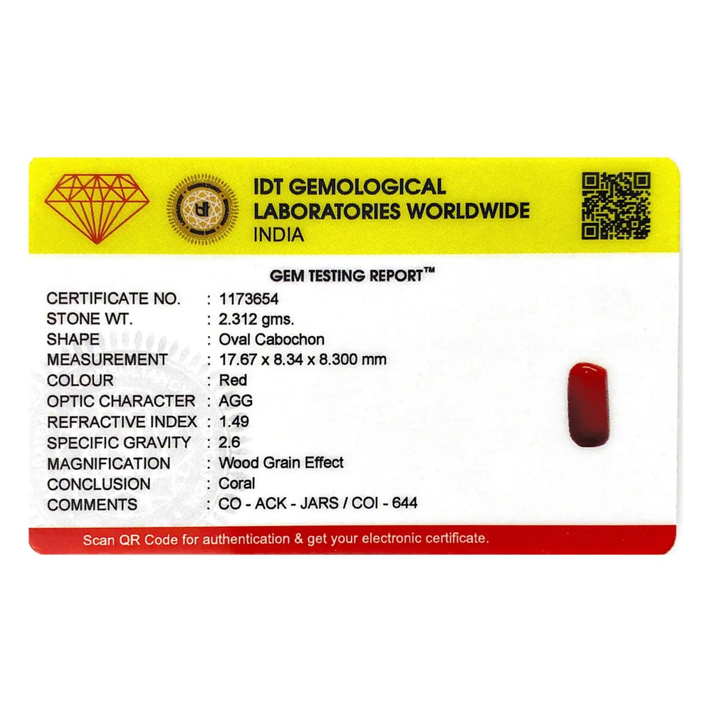 Red Coral - 11.56 Carat - Pramogh
