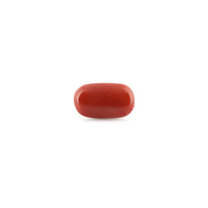 Red Coral - 11.08 Carat - Pramogh