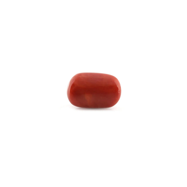 Red Coral - 14.68 Carat