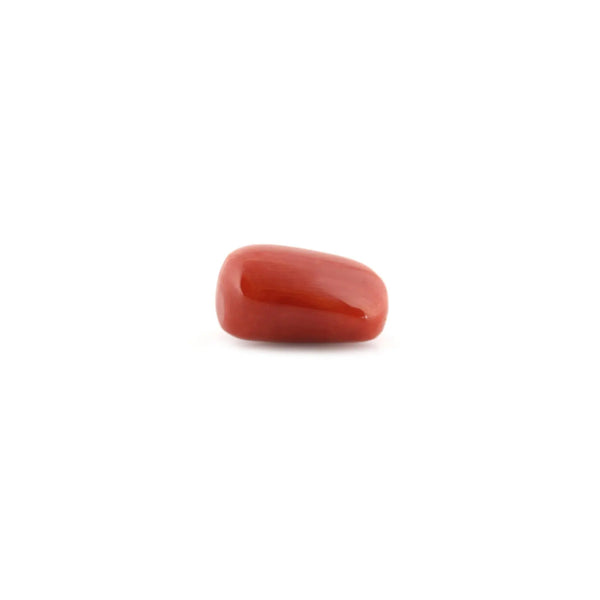 Red Coral - 14.68 Carat