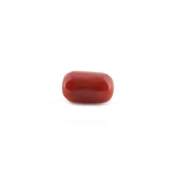 Red Coral - 12.78 Carat