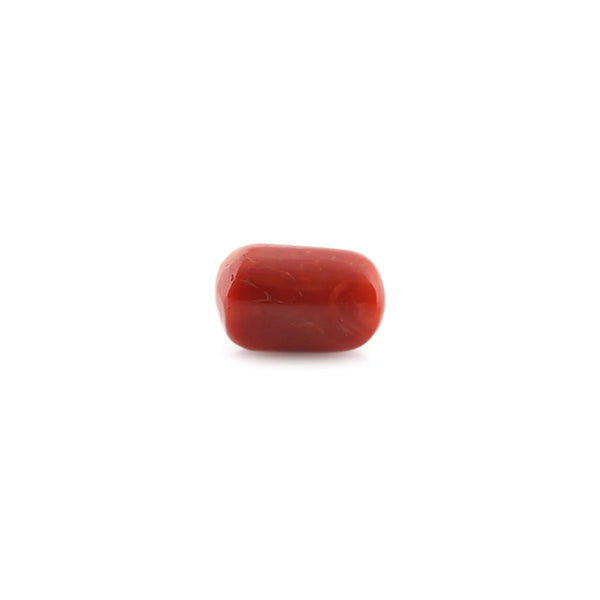 Red Coral - 12.78 Carat