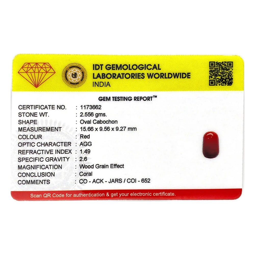 Red Coral - 12.78 Carat - Pramogh