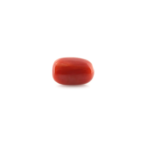 Red Coral - 8.78 Carat