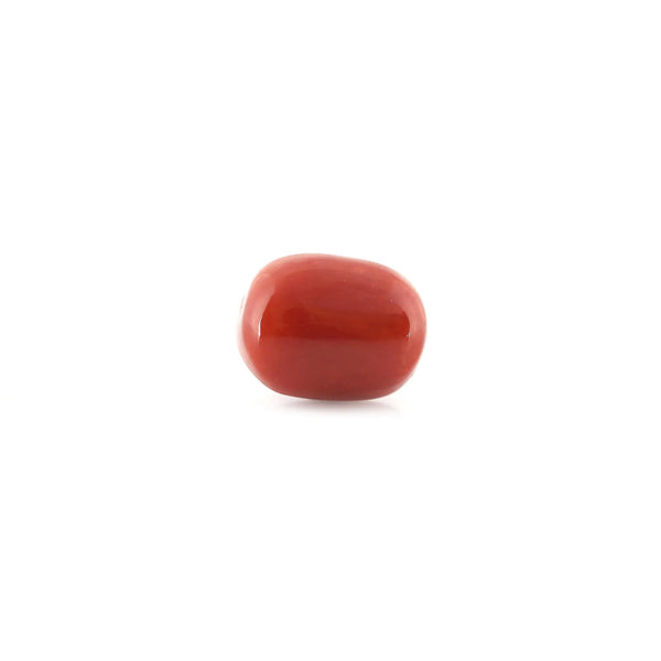 Red Coral - 12.62 Carat