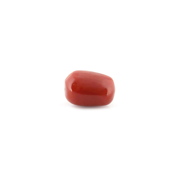 Red Coral - 12.62 Carat